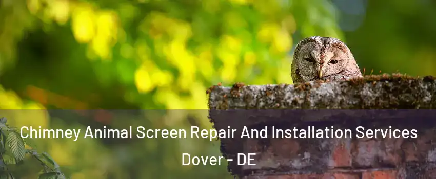  Chimney Animal Screen Repair And Installation Services Dover - DE
