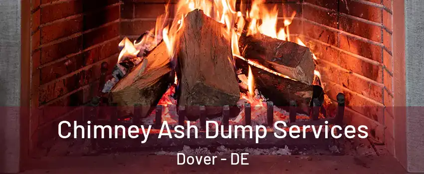  Chimney Ash Dump Services Dover - DE