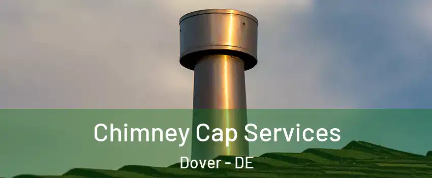  Chimney Cap Services Dover - DE