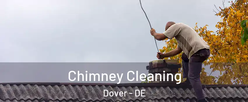 Chimney Cleaning Dover - DE