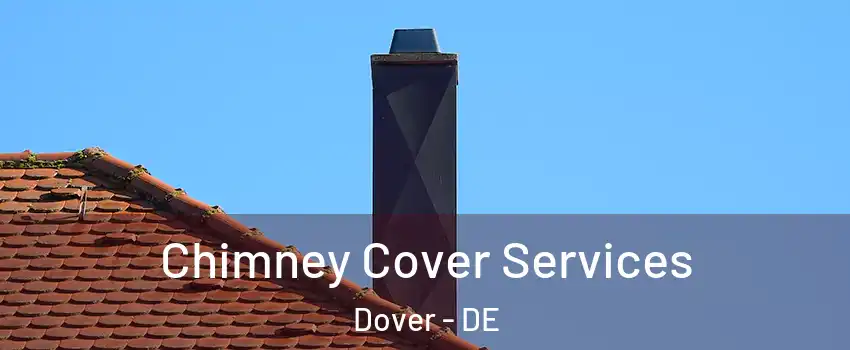  Chimney Cover Services Dover - DE