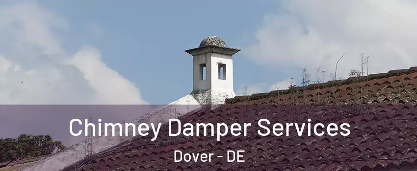  Chimney Damper Services Dover - DE