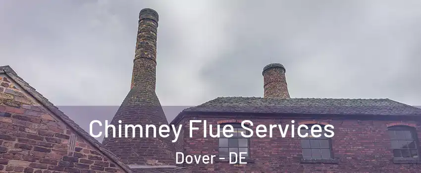  Chimney Flue Services Dover - DE
