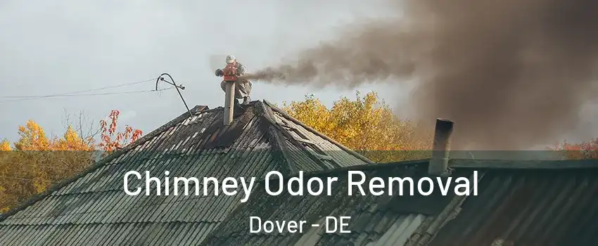  Chimney Odor Removal Dover - DE