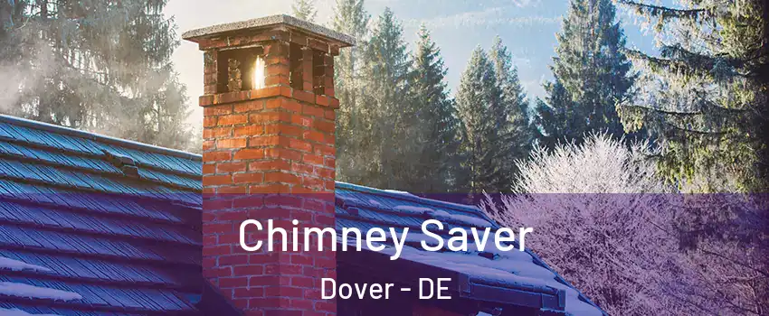  Chimney Saver Dover - DE