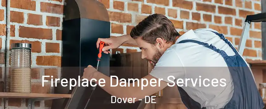  Fireplace Damper Services Dover - DE