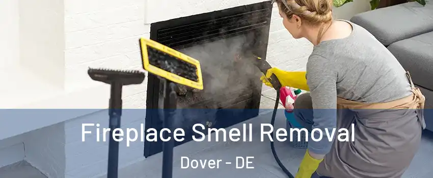  Fireplace Smell Removal Dover - DE