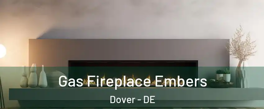  Gas Fireplace Embers Dover - DE