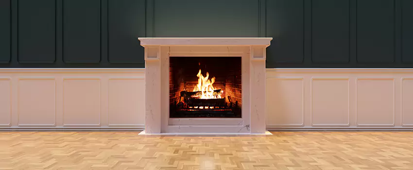 Napoleon Electric Fireplaces Inspection Service in Dover, Delaware