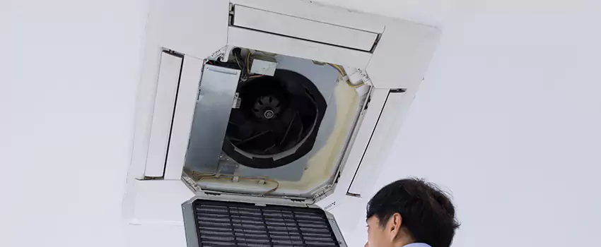 Benefits of Professional Air Duct Cleaning in Dover, Delaware