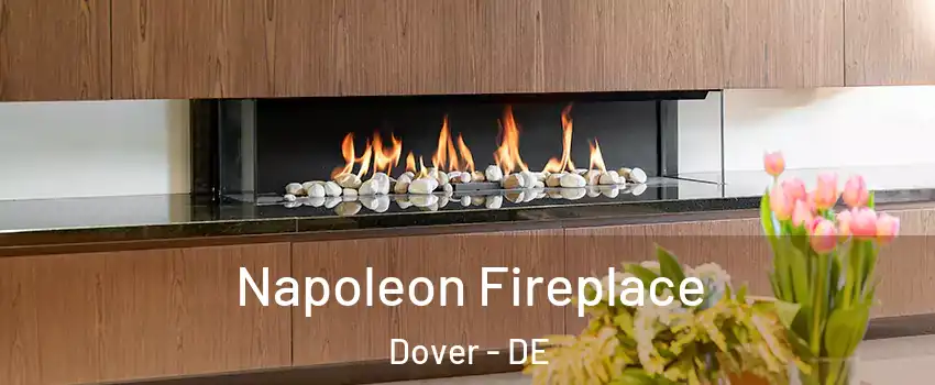  Napoleon Fireplace Dover - DE